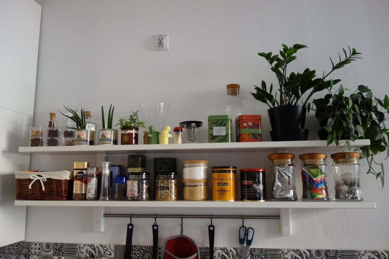 Apartament Przy Katedrze Stary Toruń Esterno foto
